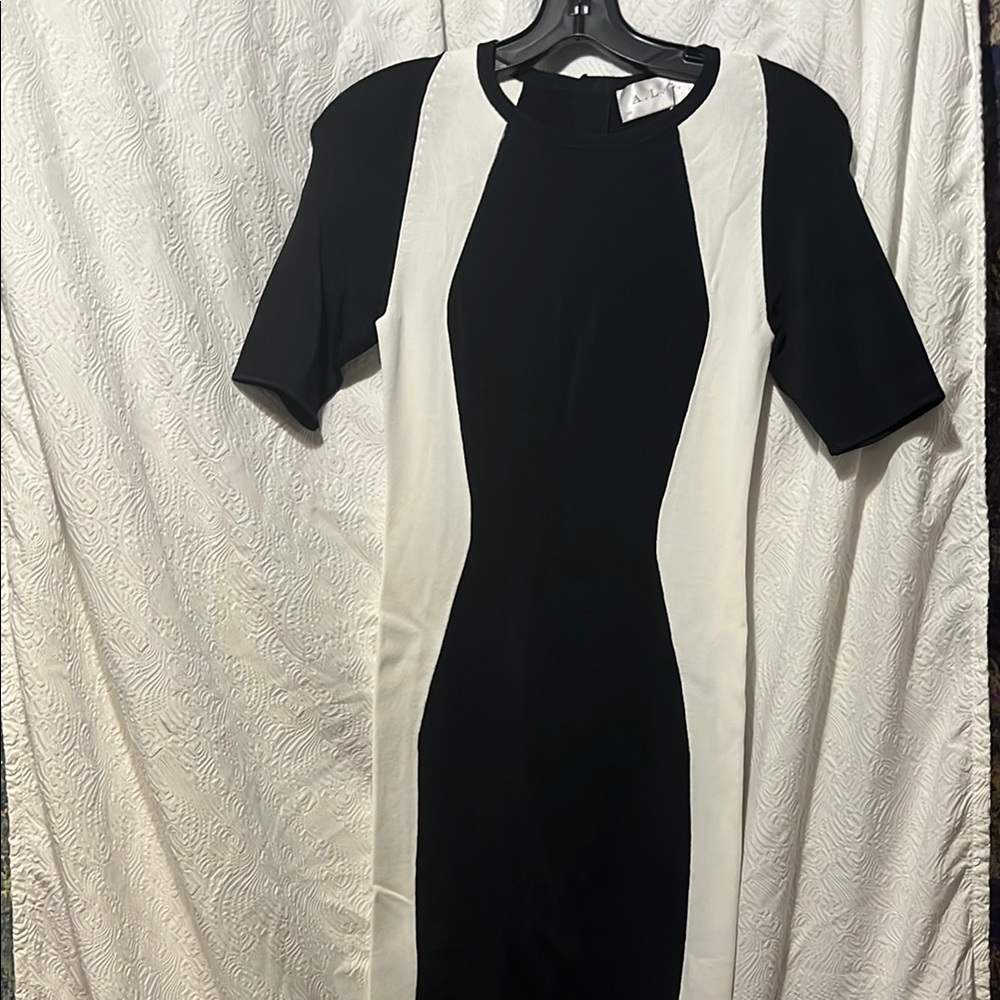 A.L.C. Elegant Black and White Women's Dress NWOT